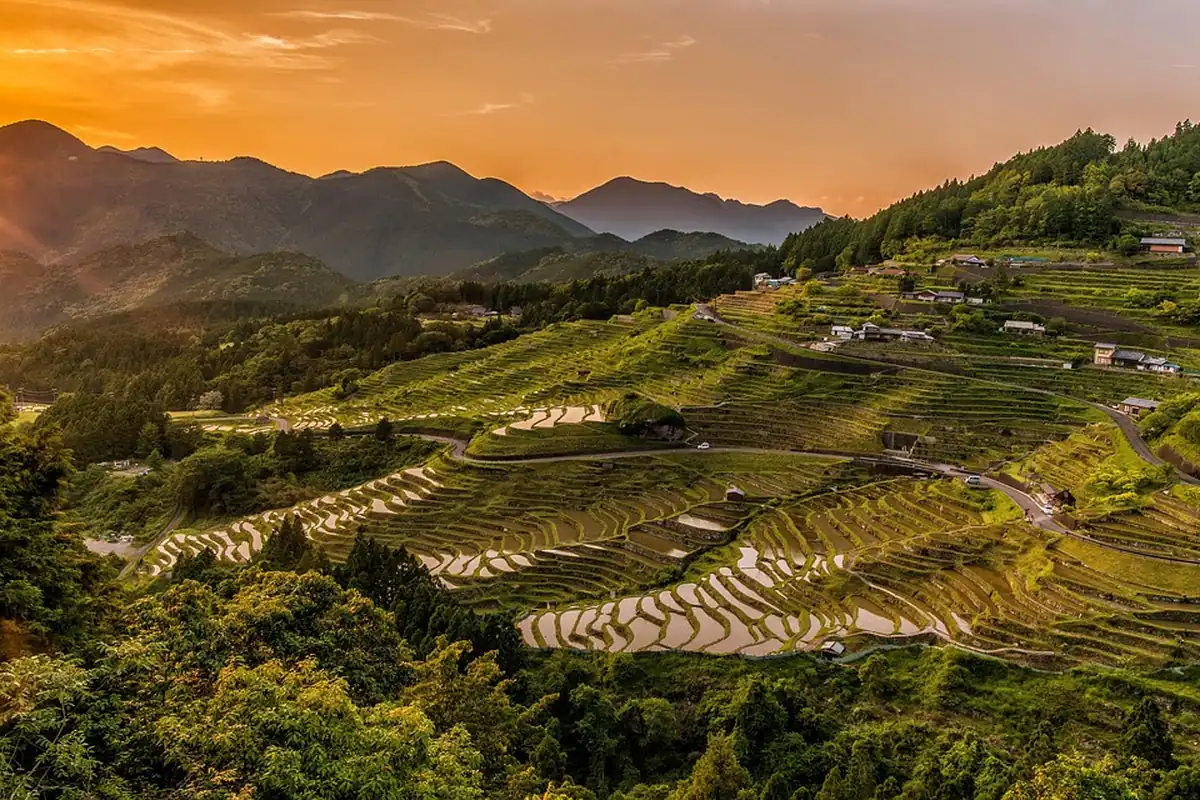 Terase agricole de orez pe pante de munte, la apus, într-un peisaj panoramic din Japonia